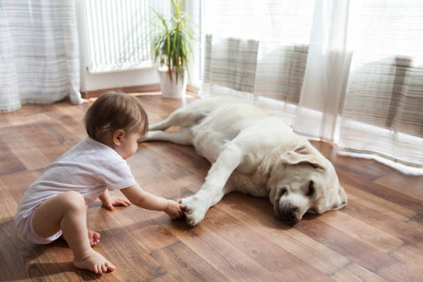 Baby on flooring hardwood | All Floors Design Centre