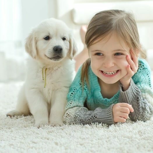 Girl with puppy on Carpet | All Floors Design Centre